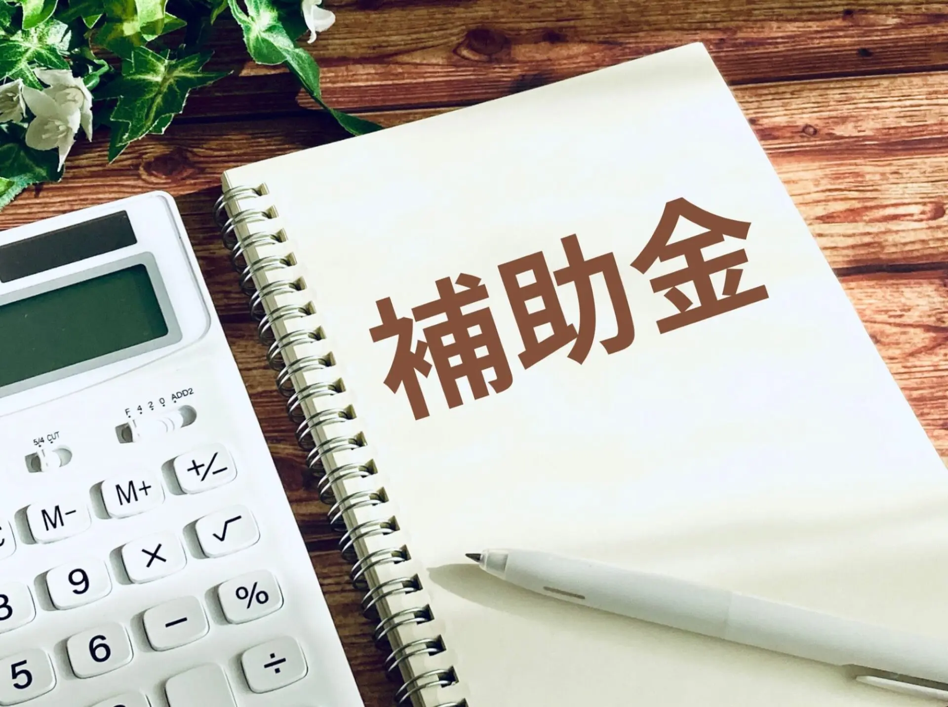 【補助金速報】子育てグリーン住宅支援事業「GX志向型住宅」