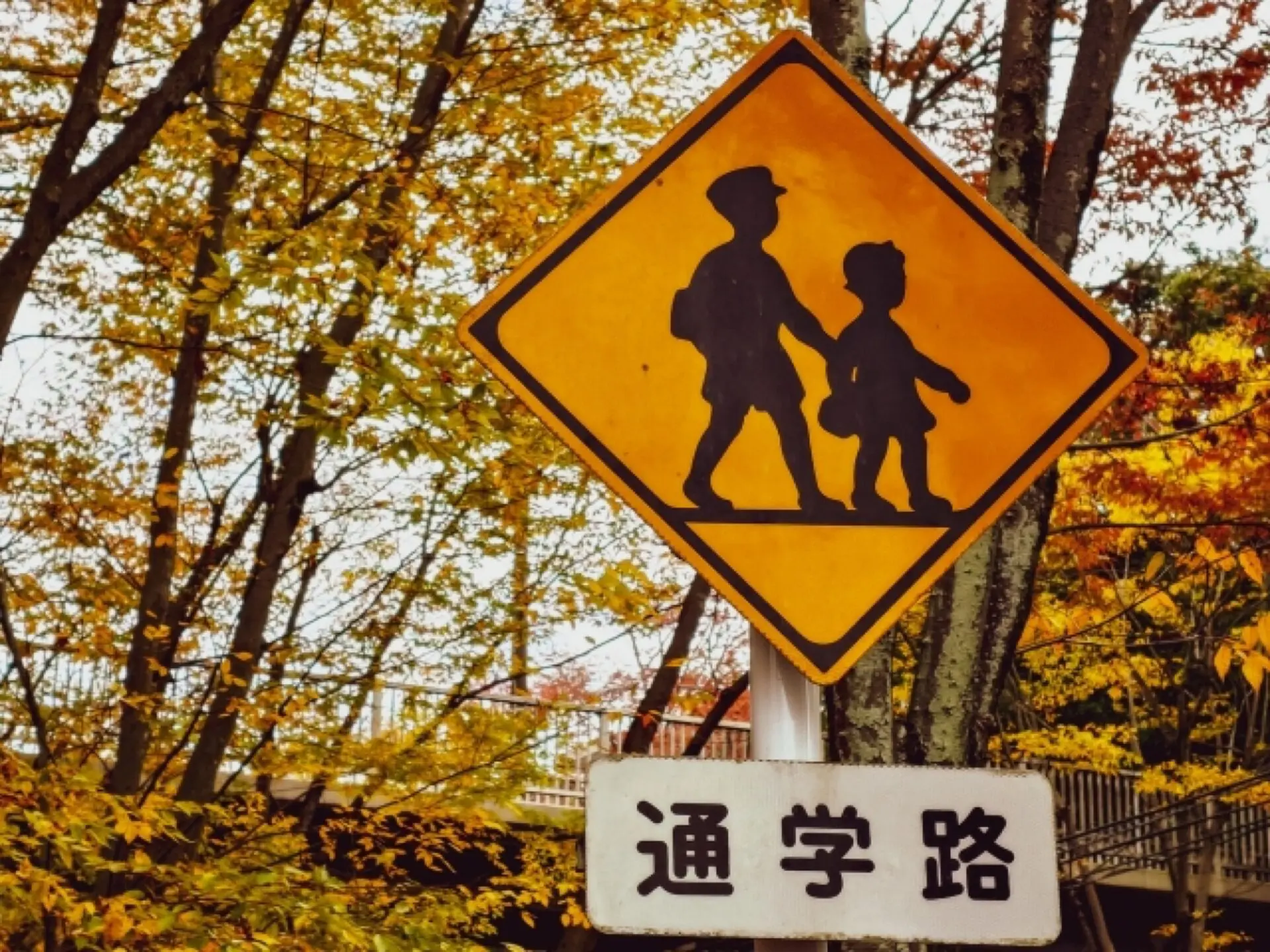 通学路の安全性や距離について考えてみましょう