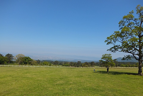 大山に行ってきました