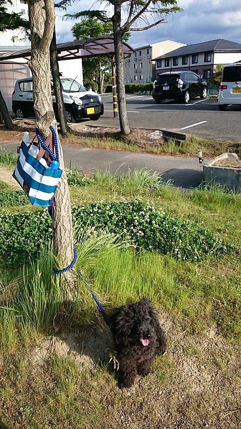 名前は「クマ」