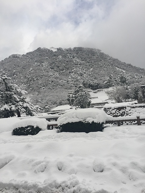 雪