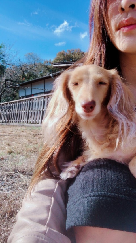 ひなたぼっこ