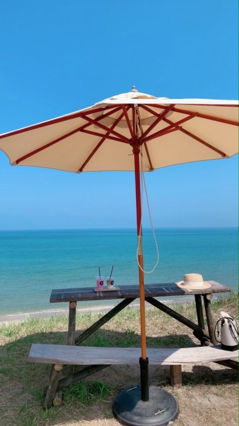 海