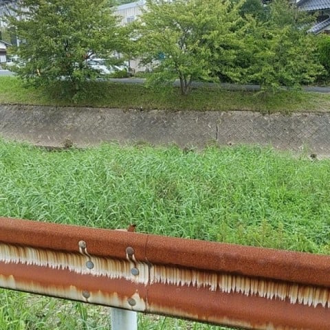 大雨