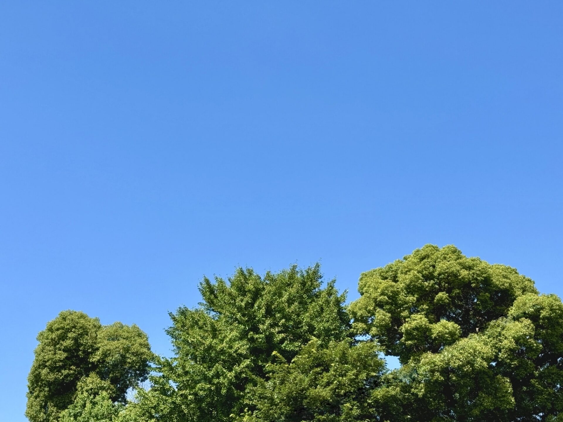 猛暑を乗り切る！ 夏に過ごしやすいお家の特徴