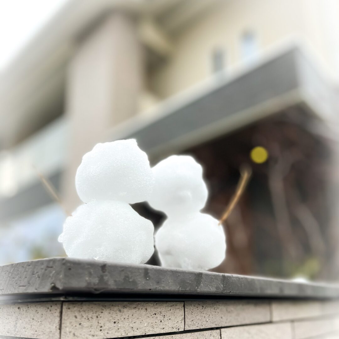 3月のイベント情報♪