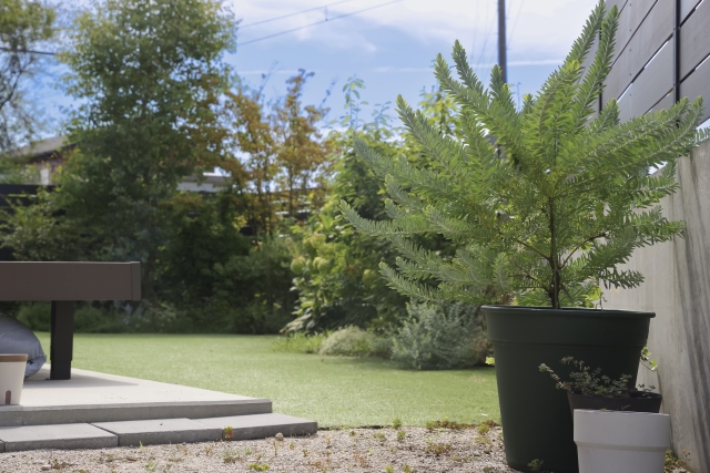 「いい庭の日」に知りたい、庭の冬支度 〜今月の何の日?〜